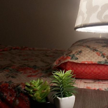 Fully Serviced Holiday Home Near Lyallpur Galleria Faysalabad Dış mekan fotoğraf